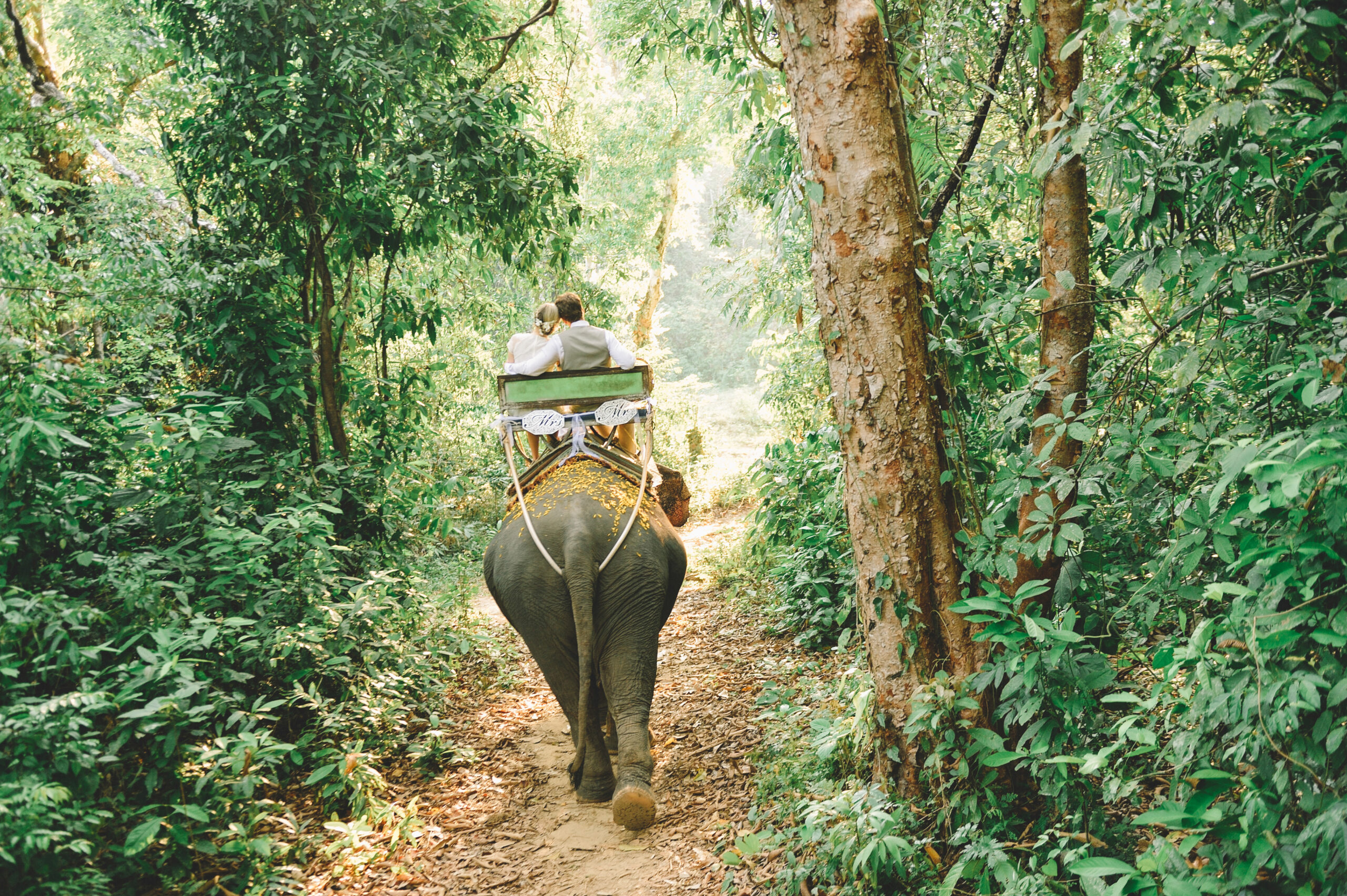 wedding destination in Koh Phi Phi, Krabi, Thailand, lovedezign photography, wedding inter, Thai photographer, Zeavola, elephant riding at Krabi, bamboo island wedding