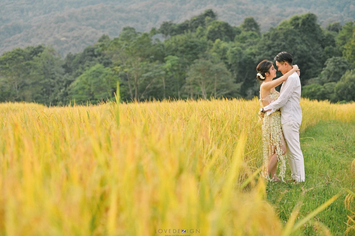 Pre wedding photography in Chiangmai.