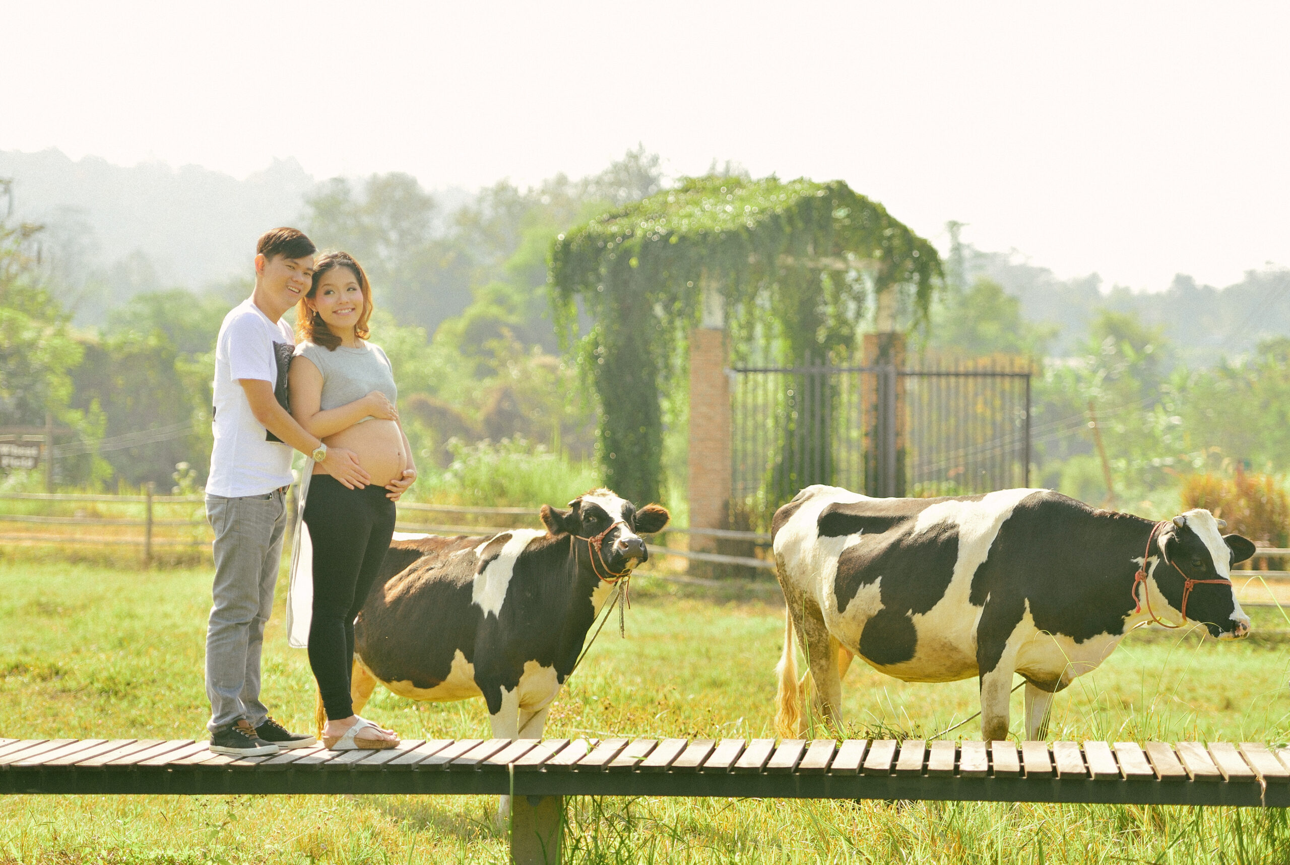 photo is taken at Romance farm in Pai, Mae Hong Son.