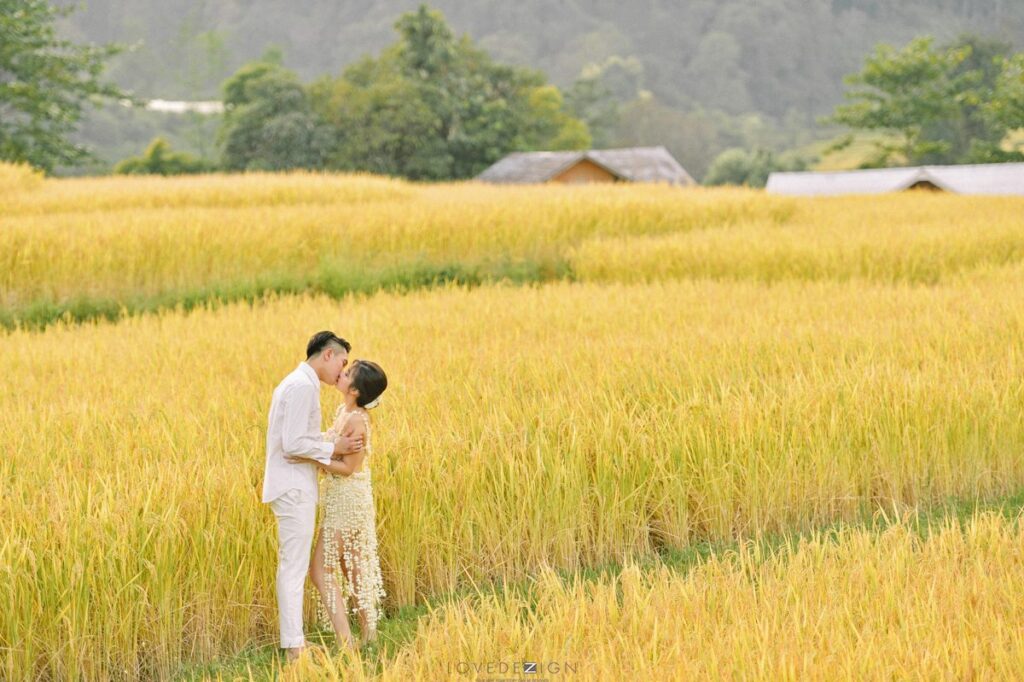N.Prewedding photography in Chiangmai