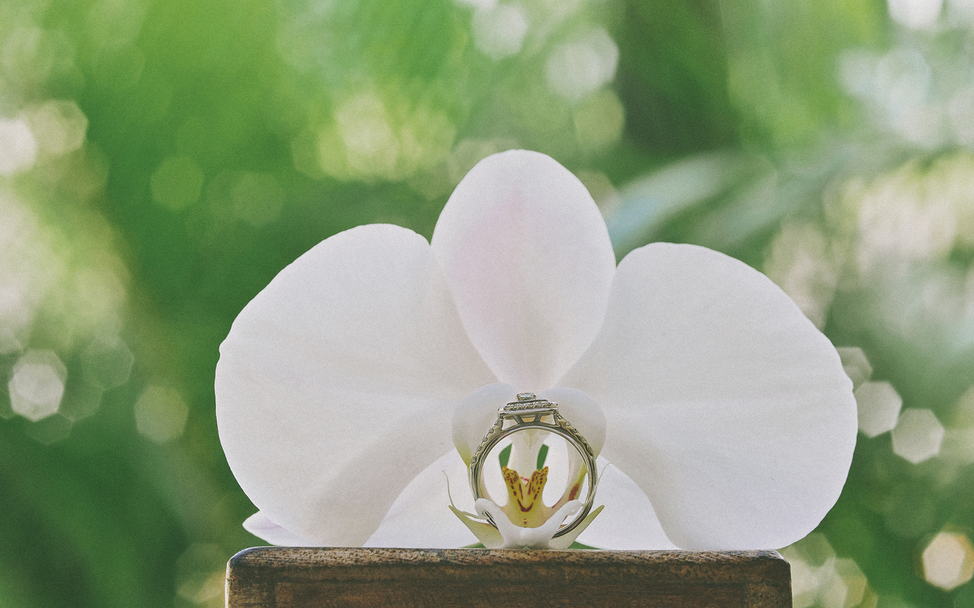 wedding destination in Bali, Thailand wedding photograher, Banyan tree Bali wedding photo